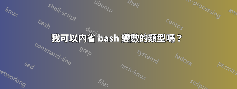 我可以內省 bash 變數的類型嗎？