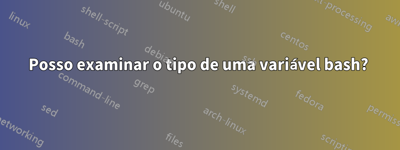 Posso examinar o tipo de uma variável bash?