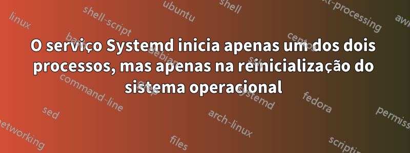 O serviço Systemd inicia apenas um dos dois processos, mas apenas na reinicialização do sistema operacional