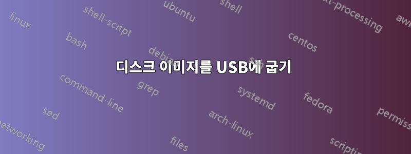 디스크 이미지를 USB에 굽기