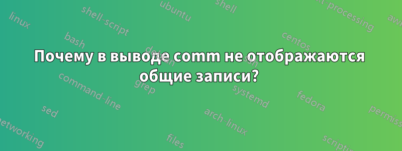 Почему в выводе comm не отображаются общие записи?