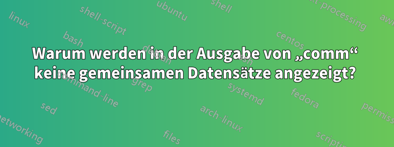 Warum werden in der Ausgabe von „comm“ keine gemeinsamen Datensätze angezeigt?