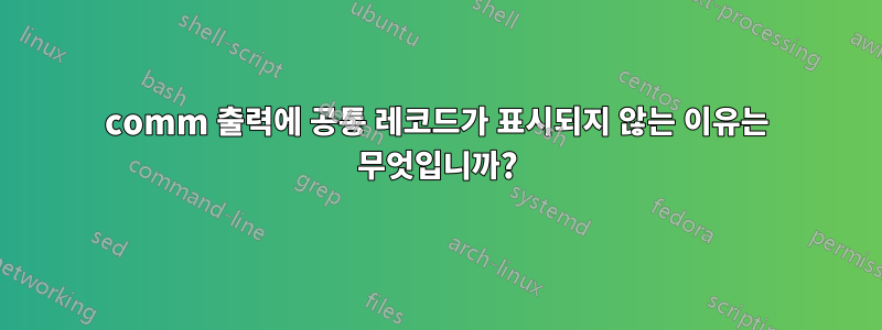 comm 출력에 공통 레코드가 표시되지 않는 이유는 무엇입니까?