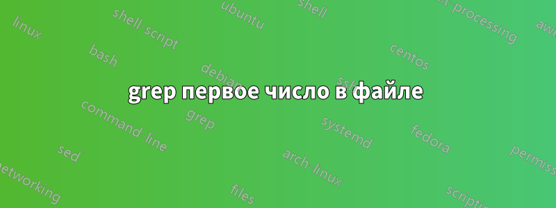 grep первое число в файле