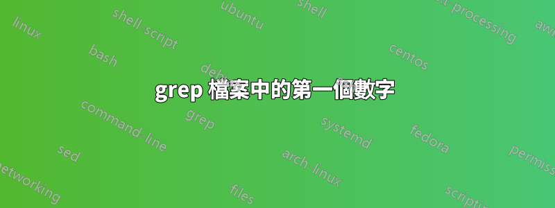 grep 檔案中的第一個數字