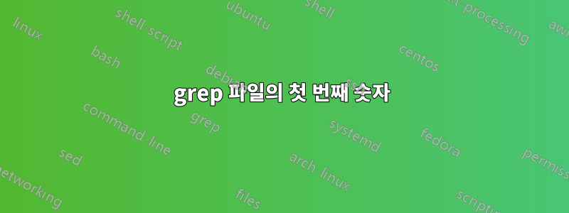 grep 파일의 첫 번째 숫자