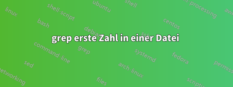 grep erste Zahl in einer Datei