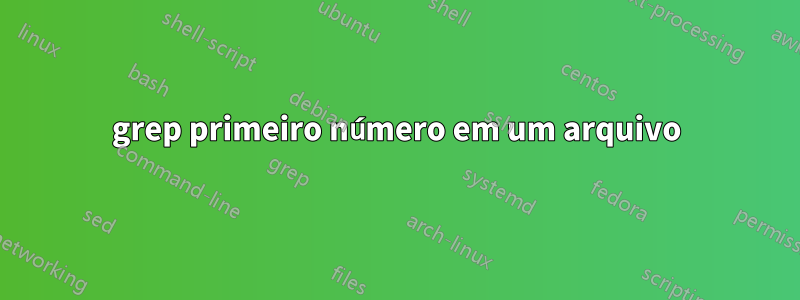 grep primeiro número em um arquivo