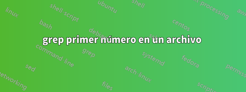 grep primer número en un archivo