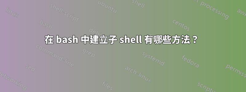 在 bash 中建立子 shell 有哪些方法？