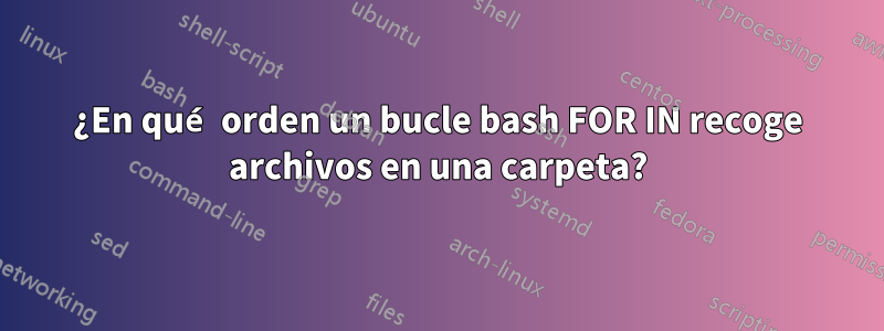 ¿En qué orden un bucle bash FOR IN recoge archivos en una carpeta?