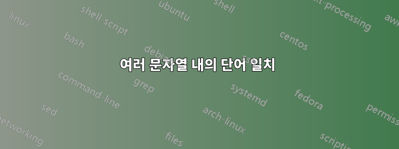 여러 문자열 내의 단어 일치