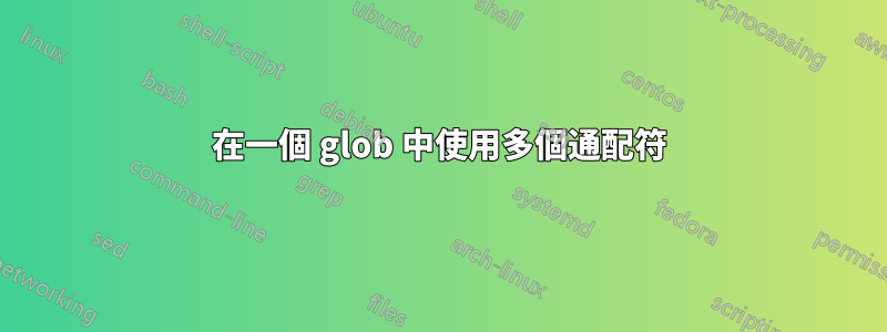 在一個 glob 中使用多個通配符