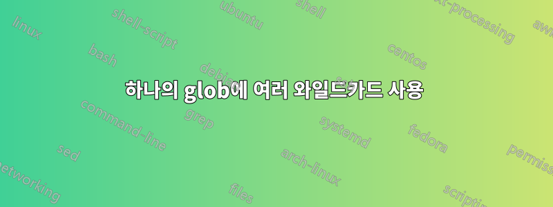 하나의 glob에 여러 와일드카드 사용