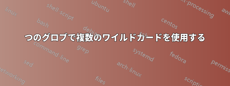 1 つのグロブで複数のワイルドカードを使用する