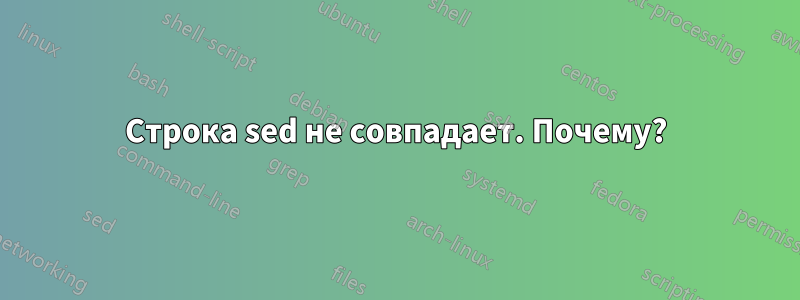 Строка sed не совпадает. Почему?