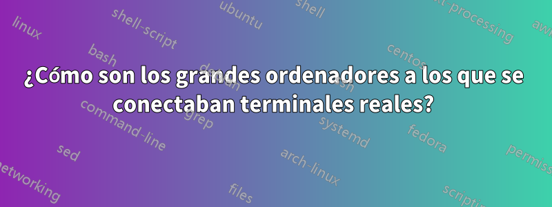 ¿Cómo son los grandes ordenadores a los que se conectaban terminales reales?