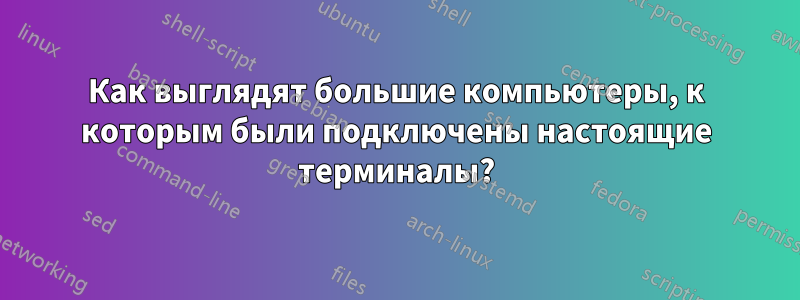 Как выглядят большие компьютеры, к которым были подключены настоящие терминалы?