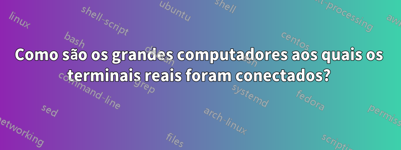 Como são os grandes computadores aos quais os terminais reais foram conectados?