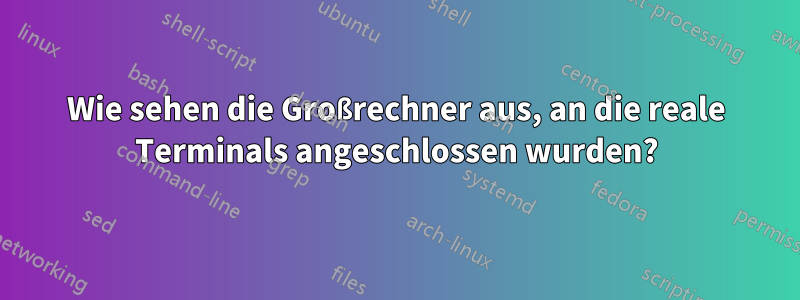 Wie sehen die Großrechner aus, an die reale Terminals angeschlossen wurden?