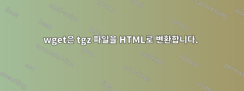 wget은 tgz 파일을 HTML로 변환합니다.