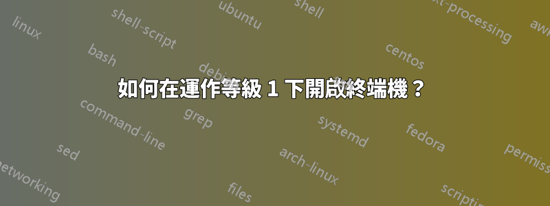 如何在運作等級 1 下開啟終端機？