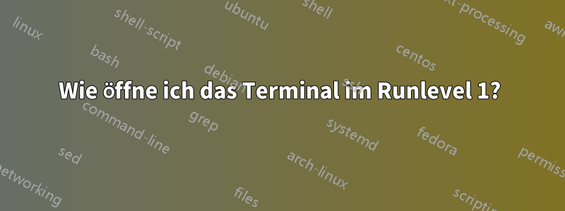 Wie öffne ich das Terminal im Runlevel 1?