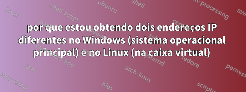 por que estou obtendo dois endereços IP diferentes no Windows (sistema operacional principal) e no Linux (na caixa virtual)