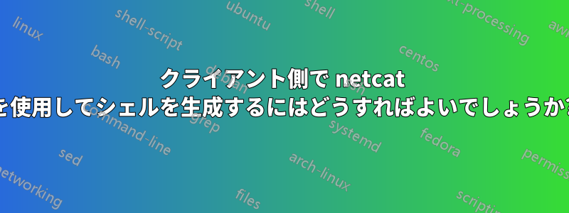 クライアント側で netcat を使用してシェルを生成するにはどうすればよいでしょうか?