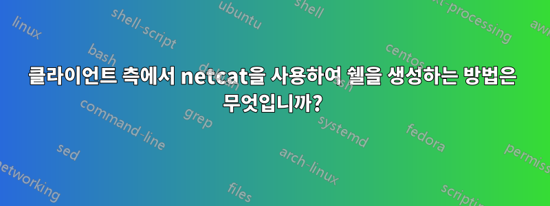 클라이언트 측에서 netcat을 사용하여 쉘을 생성하는 방법은 무엇입니까?