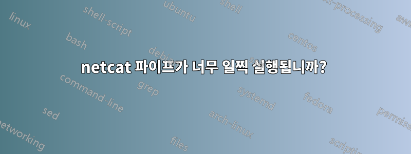 netcat 파이프가 너무 일찍 실행됩니까?