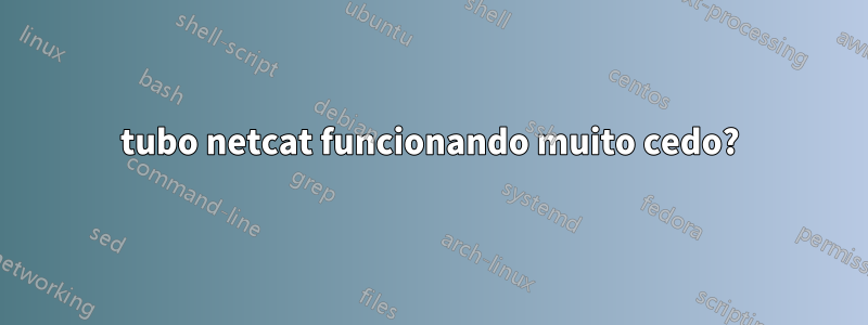 tubo netcat funcionando muito cedo?