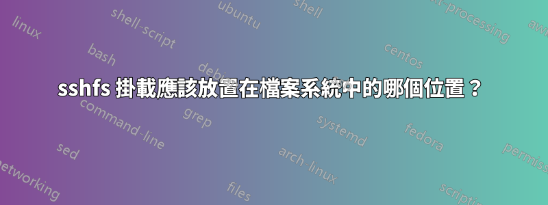 sshfs 掛載應該放置在檔案系統中的哪個位置？