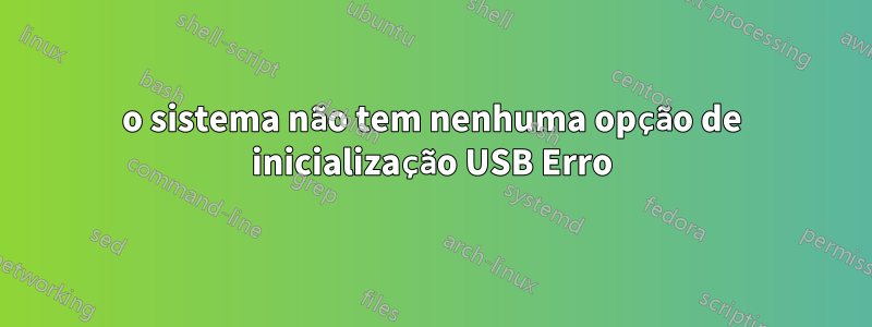 o sistema não tem nenhuma opção de inicialização USB Erro