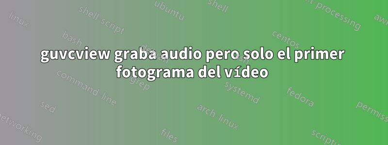 guvcview graba audio pero solo el primer fotograma del vídeo