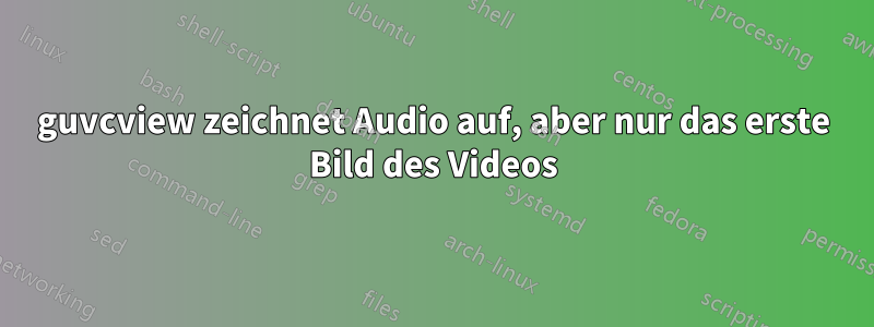 guvcview zeichnet Audio auf, aber nur das erste Bild des Videos