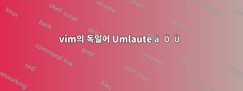 vim의 독일어 Umlaute ä Ö Ü