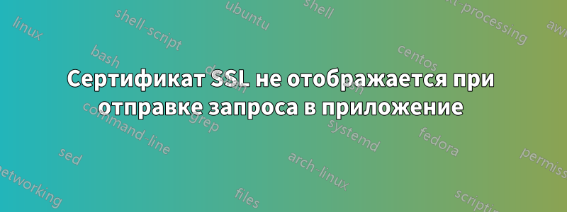 Сертификат SSL не отображается при отправке запроса в приложение