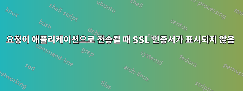 요청이 애플리케이션으로 전송될 때 SSL 인증서가 표시되지 않음