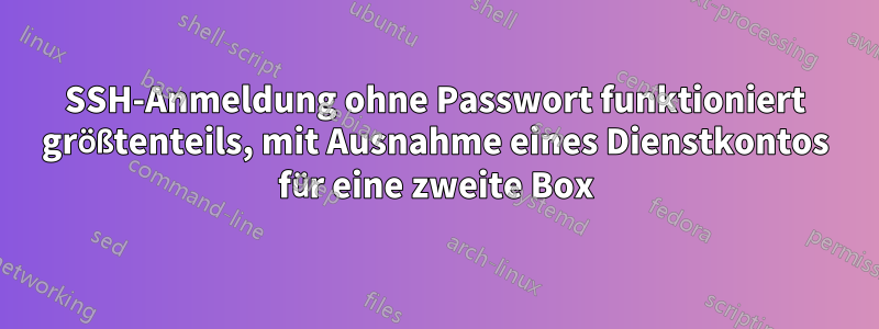 SSH-Anmeldung ohne Passwort funktioniert größtenteils, mit Ausnahme eines Dienstkontos für eine zweite Box