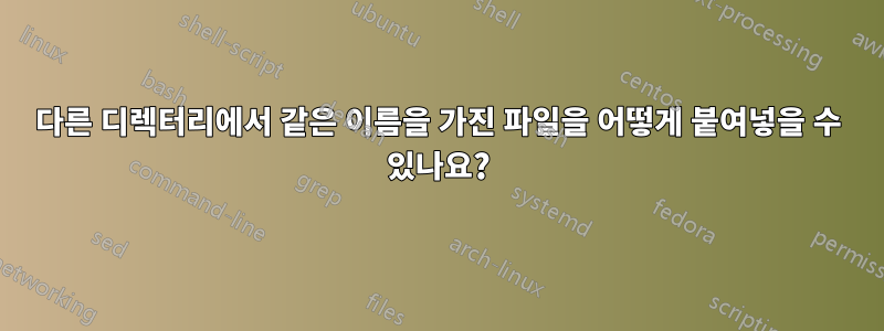 다른 디렉터리에서 같은 이름을 가진 파일을 어떻게 붙여넣을 수 있나요?