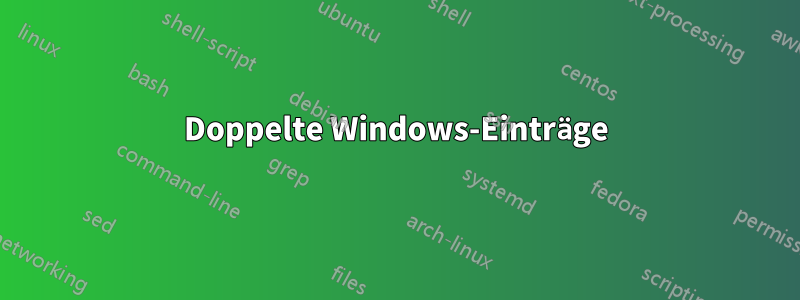 Doppelte Windows-Einträge