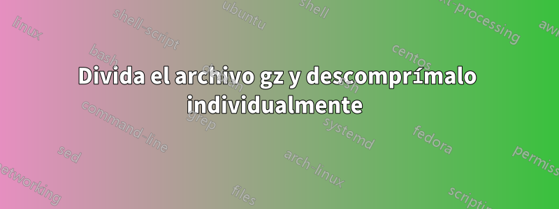 Divida el archivo gz y descomprímalo individualmente 