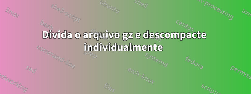 Divida o arquivo gz e descompacte individualmente 