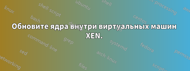 Обновите ядра внутри виртуальных машин XEN.