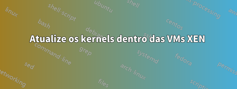 Atualize os kernels dentro das VMs XEN