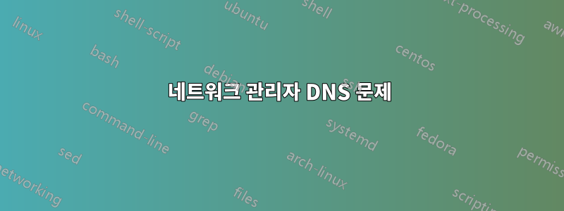 네트워크 관리자 DNS 문제