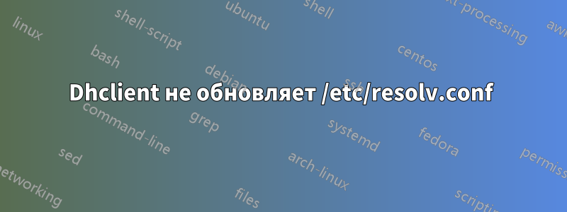 Dhclient не обновляет /etc/resolv.conf