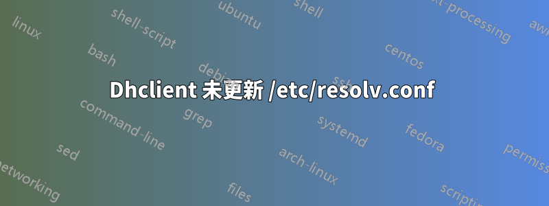 Dhclient 未更新 /etc/resolv.conf