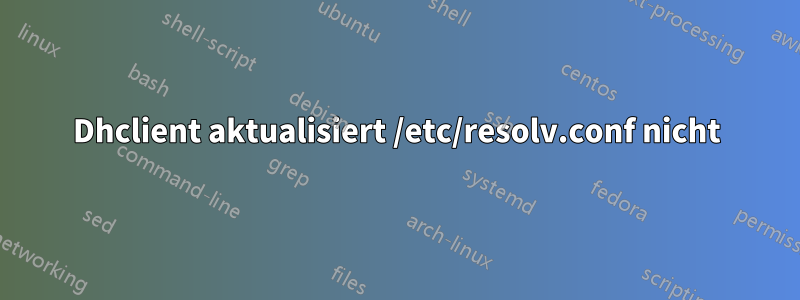 Dhclient aktualisiert /etc/resolv.conf nicht